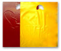 Plastic Shopping Bags